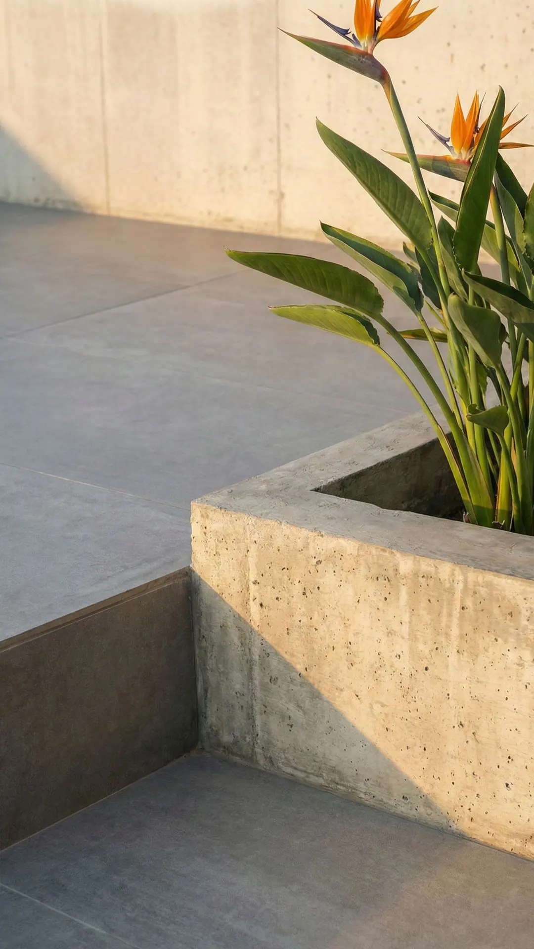 Habitar el exterior con confort